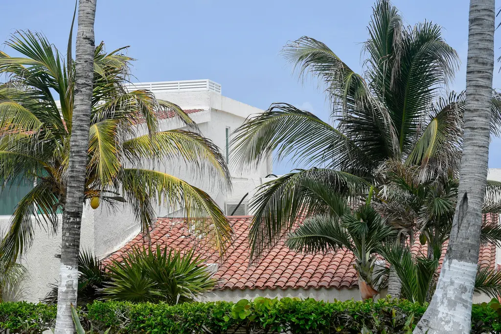 White house with tile roof among palm trees in Cancún