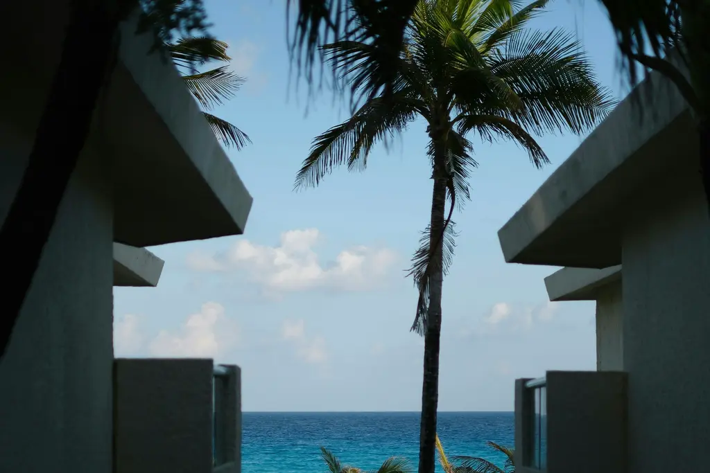 Palm trees and turquoise sea between two buildings in Cancún