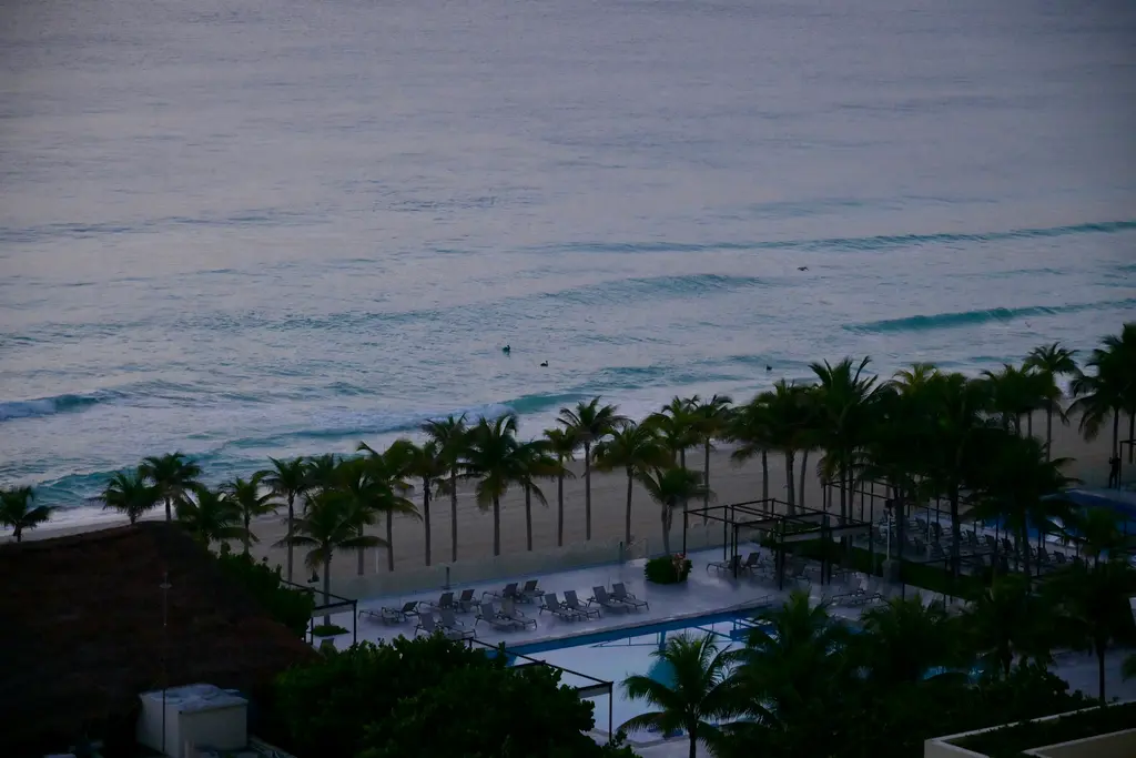 Shared pool and palm trees facing the sea in Cancún