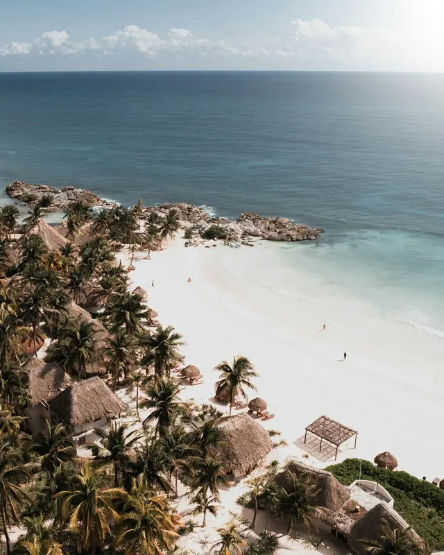 Aerial view of Tulum beach with palm trees