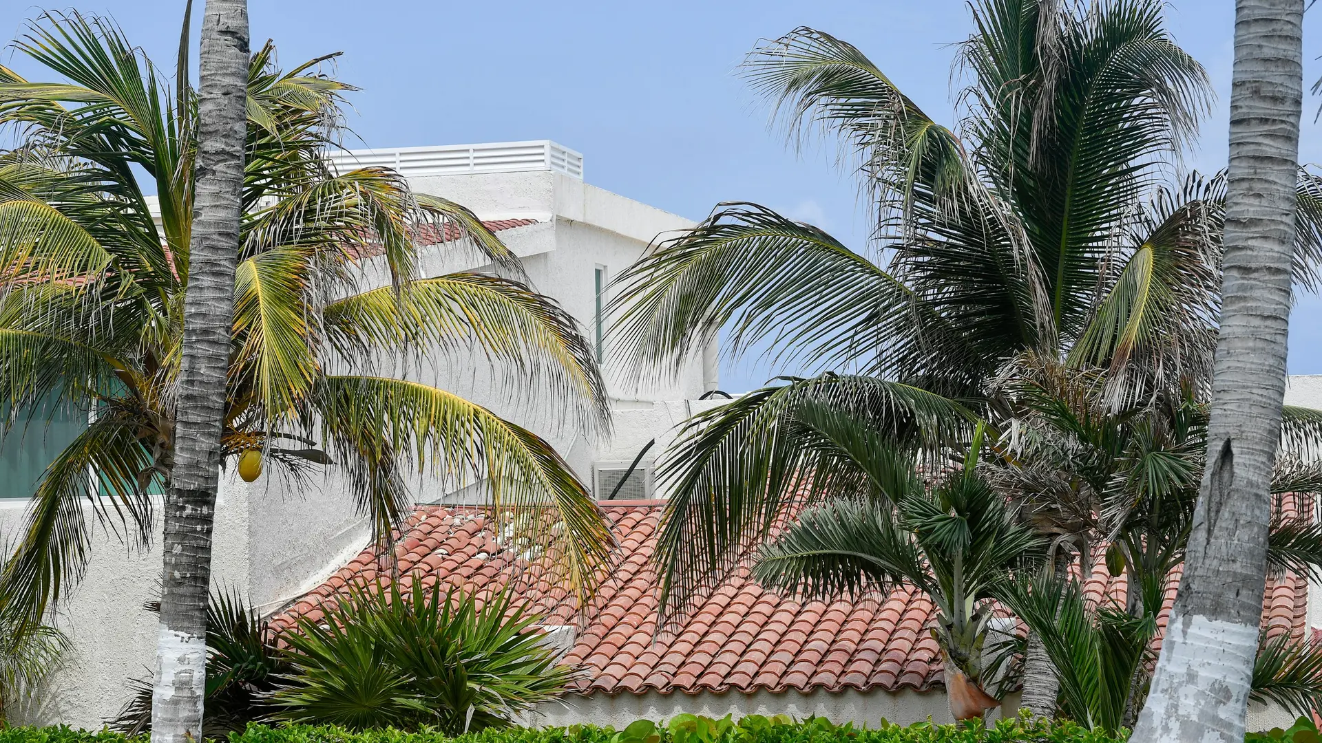 Palm trees, white house and pool in Cancún