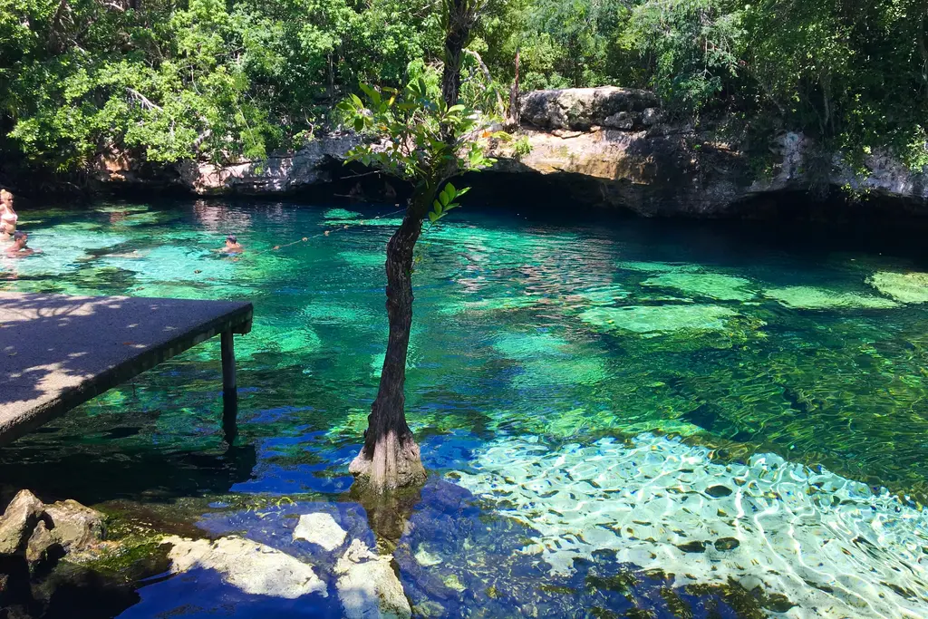 Crystal-clear cenote surrounded by jungle near Playa del Carmen