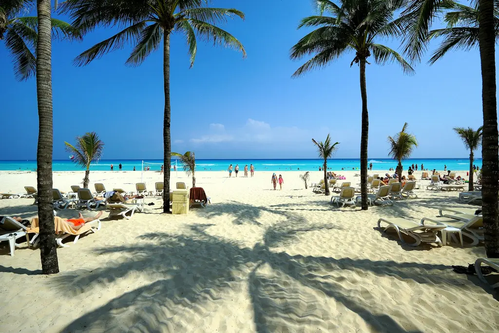White-sand beach with palm trees in Playa del Carmen