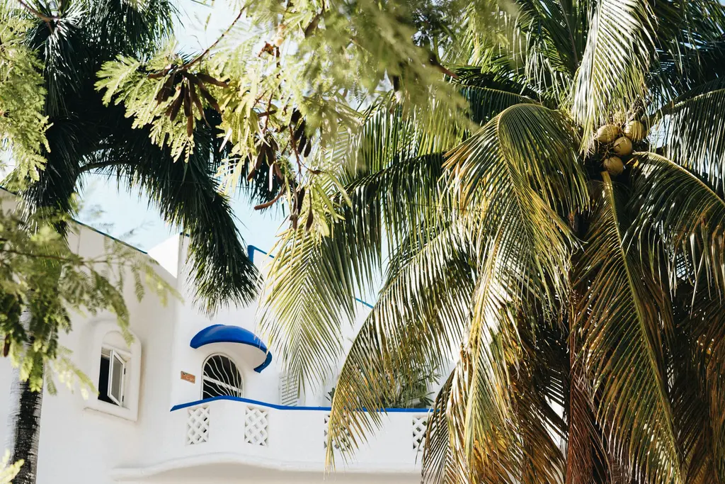 Multi-level white villa with palm trees in Playa del Carmen