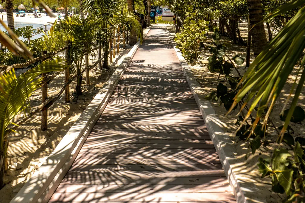 Palm-lined path to the beach in Playa del Carmen