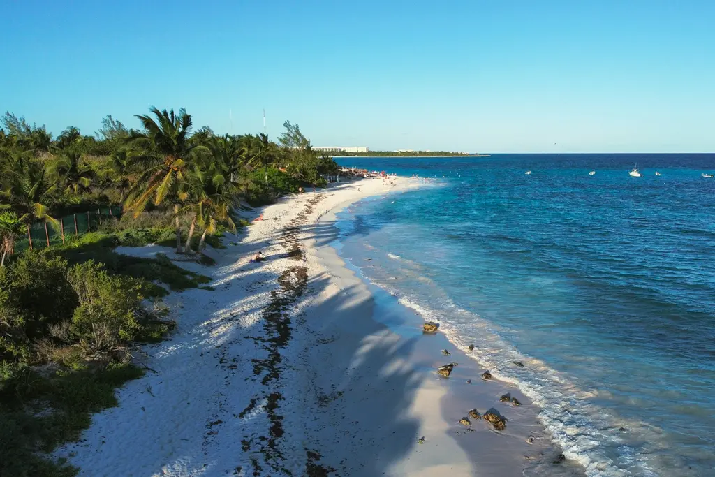 White-sand beach with jungle north of Playa del Carmen