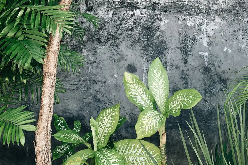 Jungle plants beside a concrete wall in Tulum