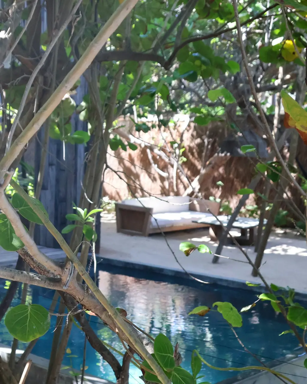 Pool surrounded by trees and plants in Tulum