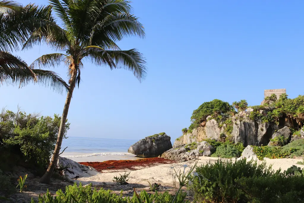Tulum beach with palm trees, a few minutes away by car